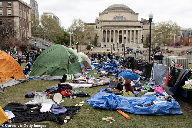 Tensions had reached a boiling point since protesters pitched tents on the university's south lawn at 4 a.m. Wednesday, and several fights broke out when they were met by pro-Israel counterprotesters.