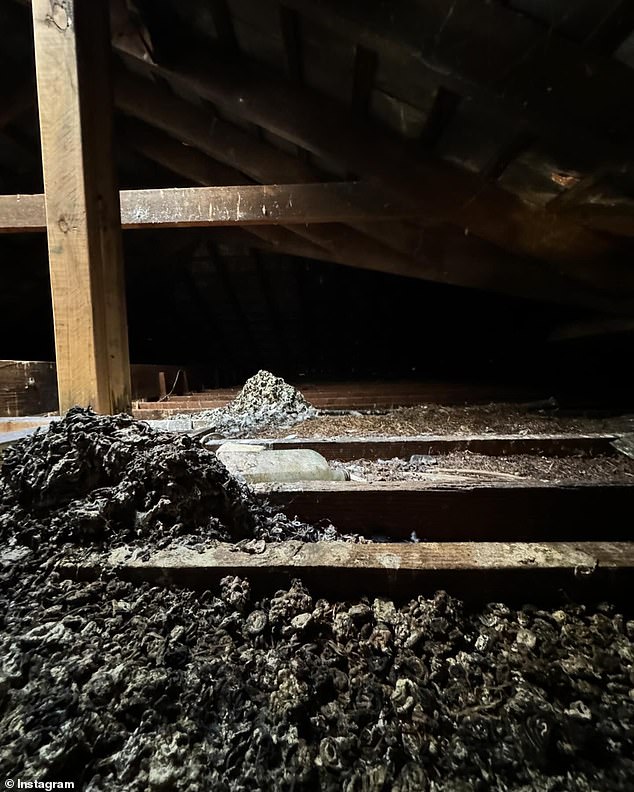 Inside the attic, he came across giant piles of bird droppings and shared the discovery on Instagram.