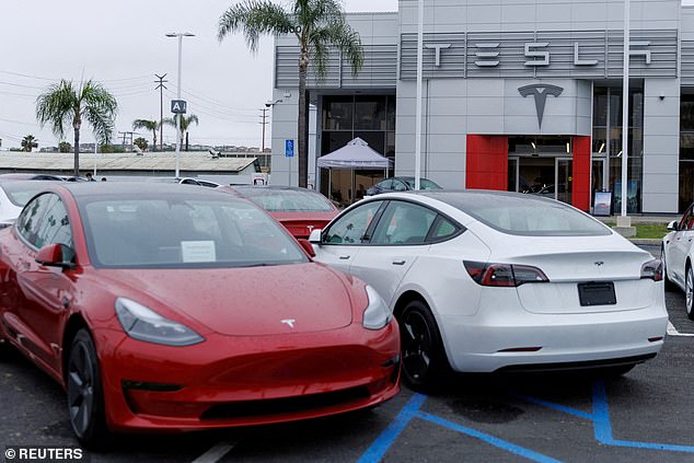 Car prices in the US, Germany and China were slashed over the weekend, and prices for custom-made Tesla software were also slashed in the US.