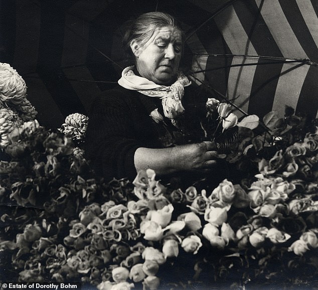 A woman picking flowers to make a bouquet, Rude de la Loi, Brussels, October 1949