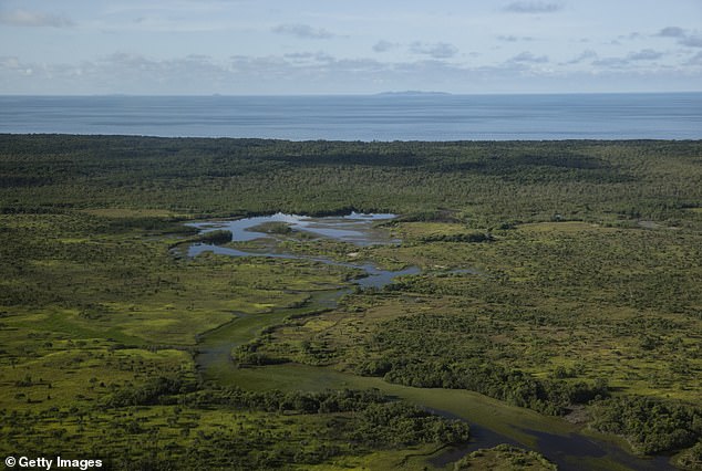 The crocodile was found near Saibai Island (pictured), located between far north Queensland and Papua New Guinea in the Torres Strait.