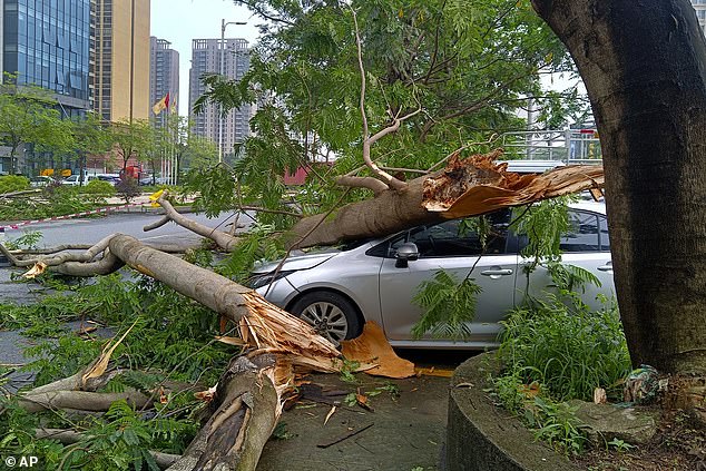 A vehicle damaged by fallen tree trunks is seen after heavy rainstorms in Qingyuan city, south China's Guangdong province, Monday, April 22, 2024.