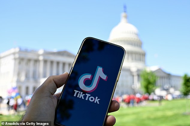 A TikTok spokesperson told DailyMail.com that the bill amounts to a 