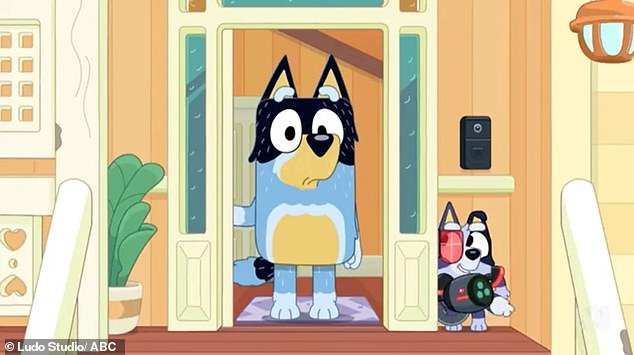 In fast forward, adult Bluey visits her childhood home and when Bandit opens the door, a mysterious boy is seen hiding behind the door, waiting to ambush Bandit with a ball blaster.