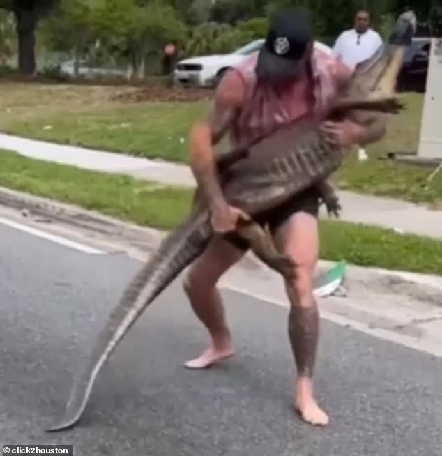 Dragich, a military veteran and MMA fighter, was able to subdue the 8-foot alligator in front of a crowd of spectators.