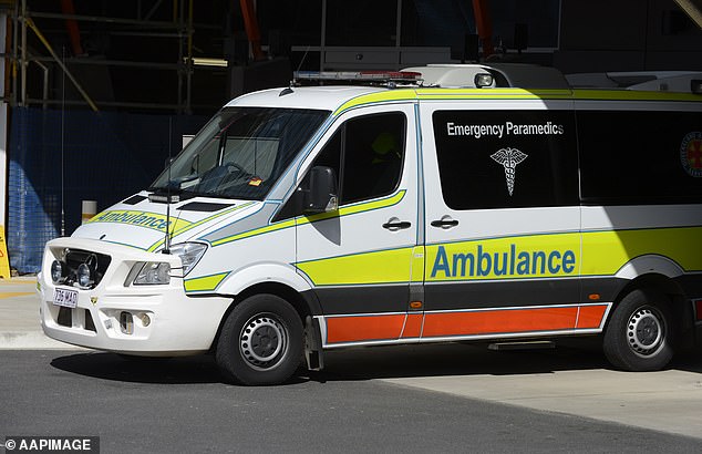 Paramedics rushed to the scene but were unable to revive the man (file image)