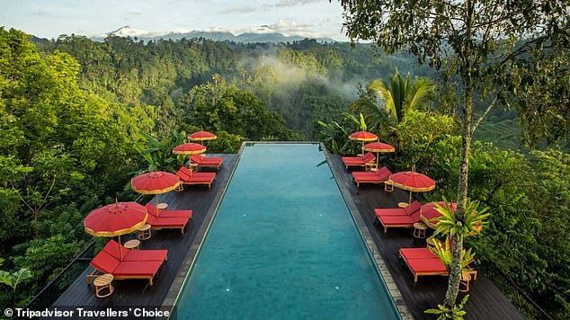 This year, Tripadvisor has launched a global list of the 'best sustainable hotels'. First up is the luxurious jungle resort Buahan a Banyan Tree Escape, Bali (above)