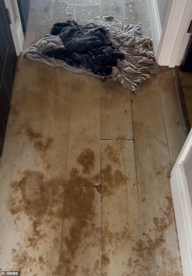 The thick brown mixture flowed from the bathroom into the hallway and across the ground floor of the home despite the mother of five's attempts to soak up the liquid with towels.