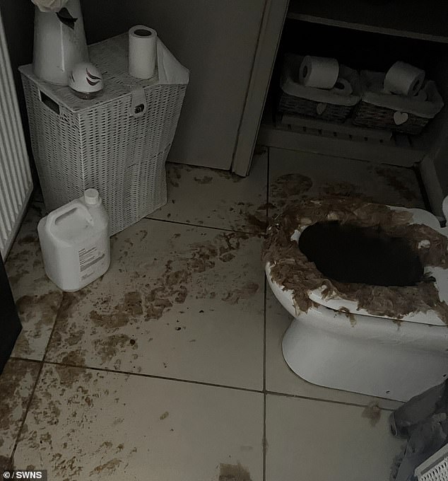 The toilet overflowed for the first time on March 17, completely destroying the baseboards, flooring and the family's new kitchen.  The plumbers spent most of the day pumping sewage out of the house and clearing clogs inside the sewage main.