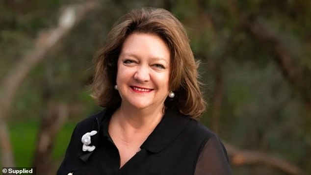 Gina Rinehart (pictured) and Hancock Prospecting claimed the documents were 