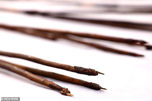 The permanent return of the spears to the Aboriginal community of La Perouse was agreed in March last year, following a campaign and a formal request for repatriation.