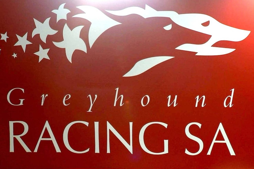The Greyhound Racing SA logo on a wall.