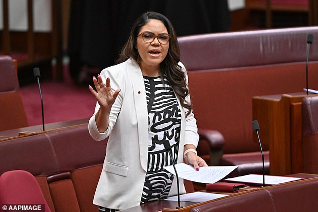 The lake proposal has sparked a divided reaction among Indigenous Australians, including Senator Nampijinpa Price.