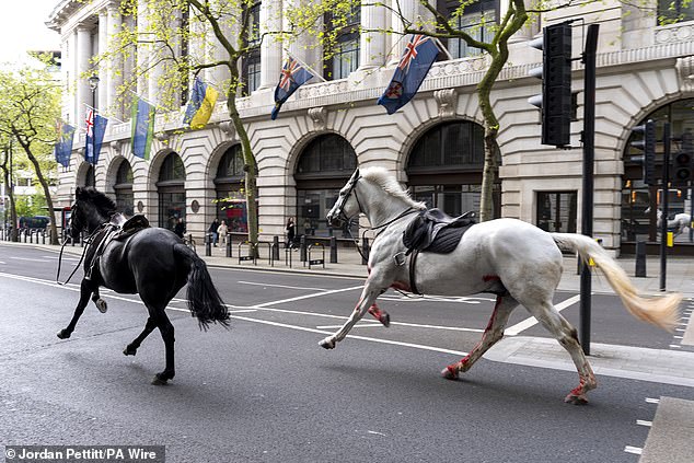 Two of the horses were seen galloping through the streets of London covered in blood.