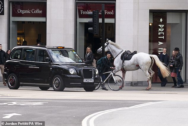 The Londoners were seen avoiding one of the horses as it ran along the pavement.  Horse reportedly crashed into black taxi