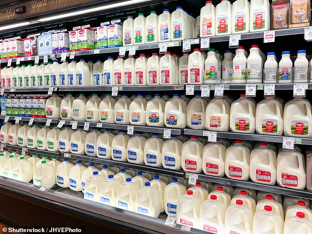Government health officials insist that traces of bird flu in milk are inactive and that the findings do not indicate that milk on grocery store shelves is unsafe.