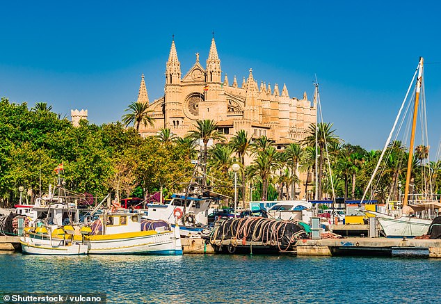 Palma's skyline is dominated by the massive Gothic cathedral La Seu, which towers over the yacht-filled marina.