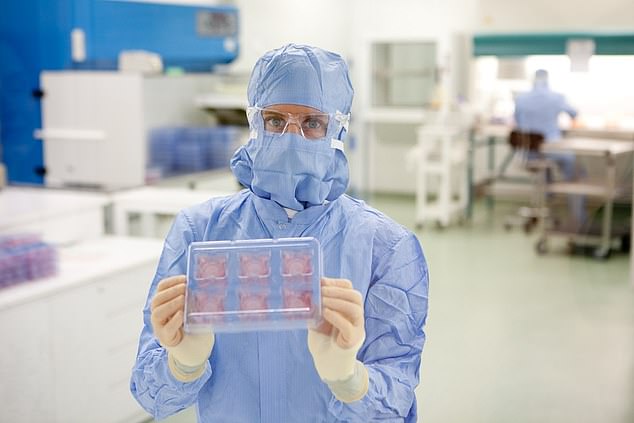A scientist holds Episkin, simulated skin produced in a laboratory from real human skin cells.