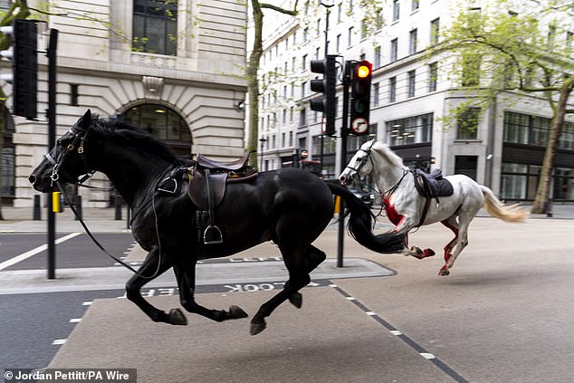 Two of the horses, one with its chest covered in blood, run east through the streets of London.