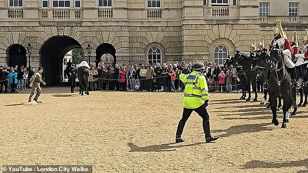 A woman in the background is heard urging the public to remain still, while a soldier is seen frantically running towards the area to try to capture the riderless horse.