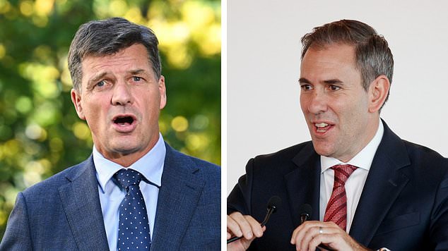 Shadow Treasurer Angus Taylor is pictured left and Treasurer Jim Chalmers is pictured right.