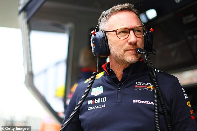 The team's season is overshadowed by the accusations against Christian Horner
