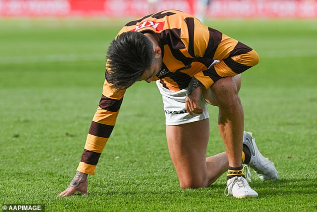 Wingard has been sidelined since August with an Achilles injury that threatened to end his AFL career.