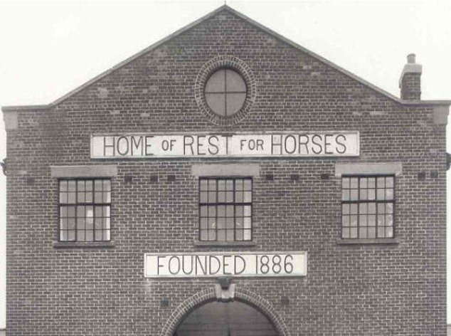 The Horse Trust was established in 1886 by Miss Ann Lindo, who was inspired by the story of Black Beauty.