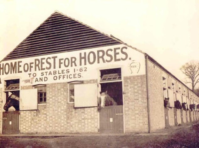 Pictured in 1908, the new Horse Trust center at Westcroft Farm, Cricklewood.