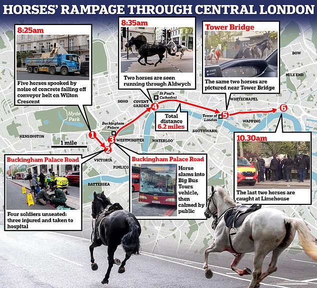 Vida (white horse) and Trojan (black horse) fled and rampaged six miles through central London on Wednesday.