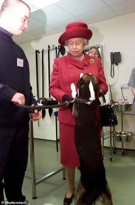 Mischief, the dog jumps up to greet Queen Elizabeth during the reopening of the Blue Cross Animal Hospital in 2001. The queen is not very happy