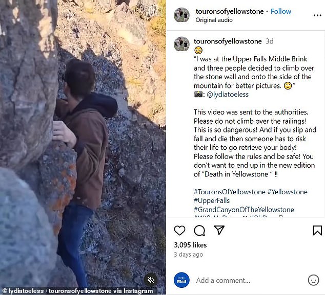 An Instagram account titled 'Tourons of Yellowstone' (pictured) compiles all the cases in which a 'touron', the combination of a 'tourist' and a 'mouron', commits another incredibly stupid charade, desecrating the rules of the park time and time. again