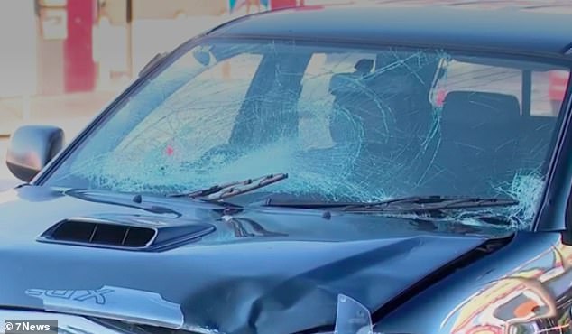 The truck, which was traveling at 60 km/hour, suffered extensive damage, including a broken windshield, a crumpled bonnet and a dented bumper (pictured).