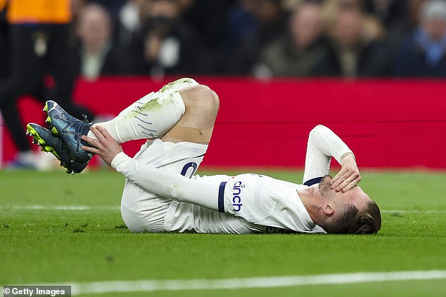 Injuries to several key players cut short what was an excellent start to the campaign for Spurs.