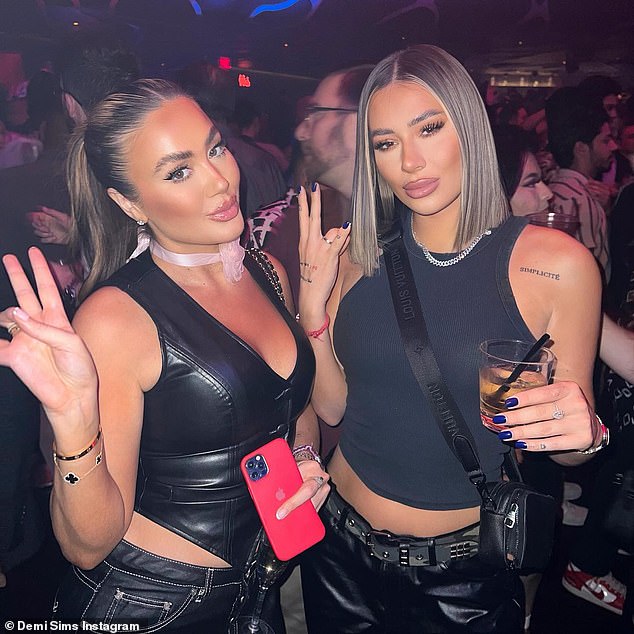 Chloe, Frankie (left), 28, Demi (right), 27, and her brother Charlie, 31, ventured to Los Angeles for their reality show, but the huge fight led them to delete all traces of each other from Instagram.