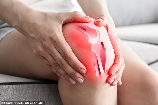 Around 10,000 Britons need treatment each year for torn cartilage injuries, usually in the knee.  This is where the tough but flexible “cushion” that prevents bones from rubbing together in the joints breaks down, often due to strong impacts during sporting activities (file image)