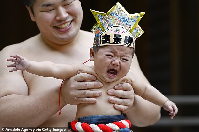 For one day a year, crying babies compete against each other, held in the arms of sumo wrestlers.  The winner is usually the first baby to cry in the 'crying sumo' ring