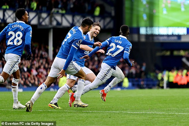 Idrissa Gueye's goal helped the Toffees beat Brentford and secure top-flight status.