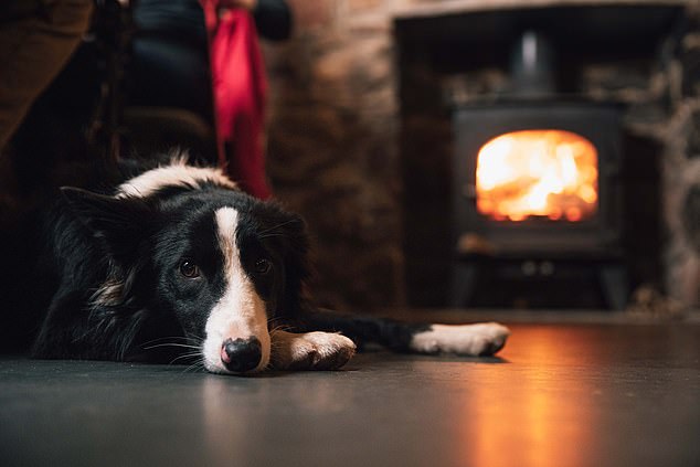 The King's Head in Llangennith is a dog-friendly inn made up of a trio of stone cottages.