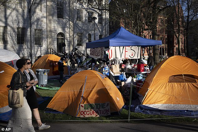 Several tents are seen at the Harvard University campground Thursday in the Yard.