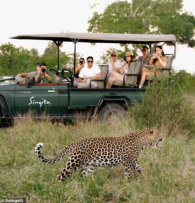 The couple's wedding includes a safari in South Africa before getting married in Egypt.