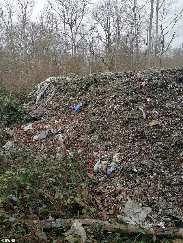 The Environment Agency (EA) is carrying out an investigation into who dumped rubbish around the four-acre Hoad's Wood in Kent.