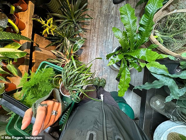 The green-fingered star also picked up some new plants for her home.