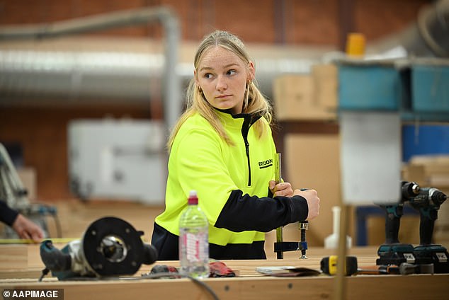 Tradespeople (pictured) and workers employed in the construction sector are unlikely to have their jobs affected by AI.