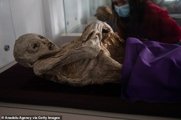 The San Bernardo municipal cemetery first unearthed a mummified body in 1963 and in the late 1980s found 50 preserved bodies each year.