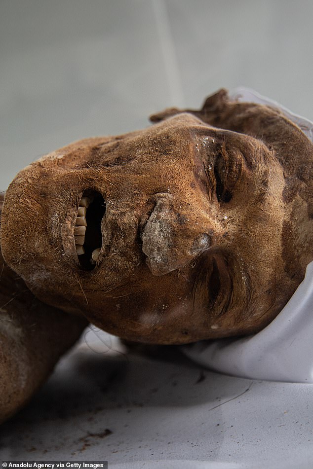 A mummy from the mausoleum of Saint Bernard has been preserved without the need for any chemical treatment that would be carried out during the mummification process