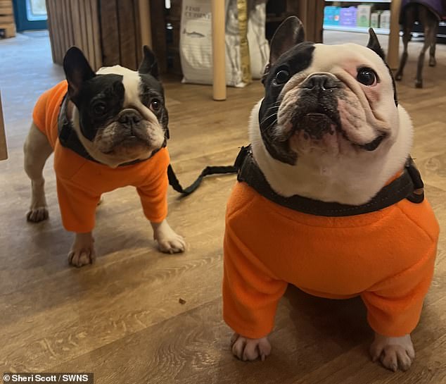 The 37-year-old also loves dressing her two dogs (pictured) in brightly colored clothing.