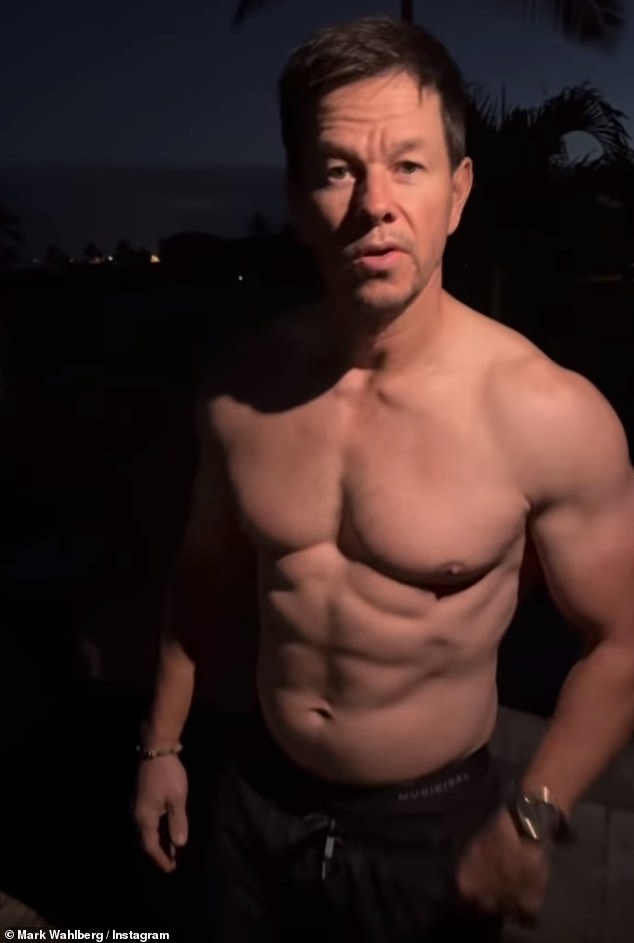 Wahlberg's latest family trip comes after he was recently filming his upcoming movies Six Billion Dollar Man and Play Dirty in Australia.