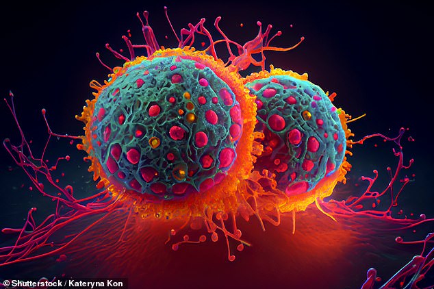 Immunotherapy drugs stop proteins from binding to T cells, which reactivates the immune system and allows it to search for and destroy cancerous growths. Pictured: A graph showing cancer cells.