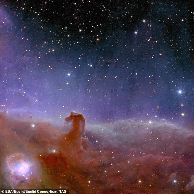 Since it was first discovered by a Scottish astronomer in 1888, the iconic Horsehead Nebula (above) has appeared in astronomy books, often bathed in ultraviolet radiation from the very bright star, Sigma Orionis, above her.  Above, a 2023 image of the nebula taken by the Euclid space probe.